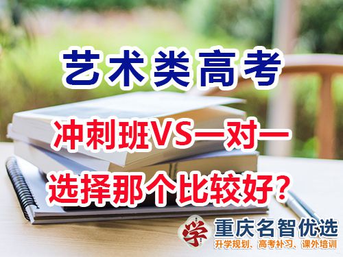 藝術(shù)生高考文化課沖刺班好還是一對一補習(xí)效果好？